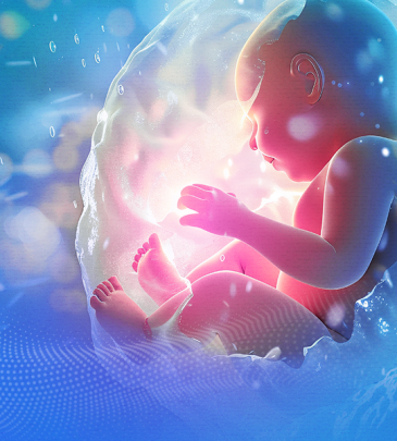 Obstetricia